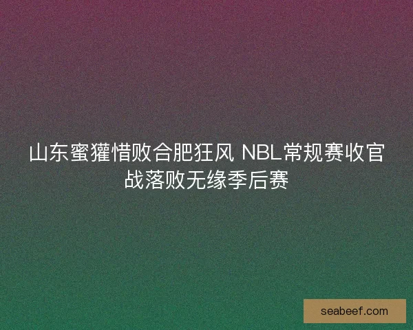 山东蜜獾惜败合肥狂风 NBL常规赛收官战落败无缘季后赛