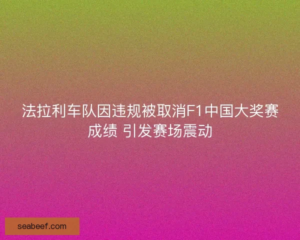 法拉利车队因违规被取消F1中国大奖赛成绩 引发赛场震动